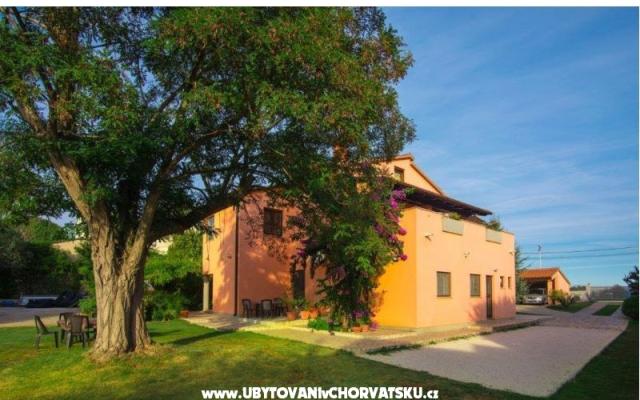 Apartments Viktor – Accommodation Pula Kroatië