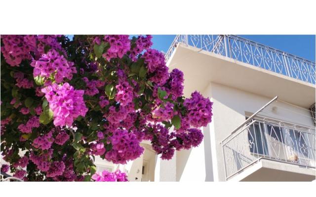 Apartman Mare – Accommodation Sibenik Kroatië