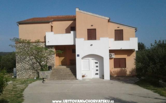 Dalmatian – Accommodation Sibenik Kroatië
