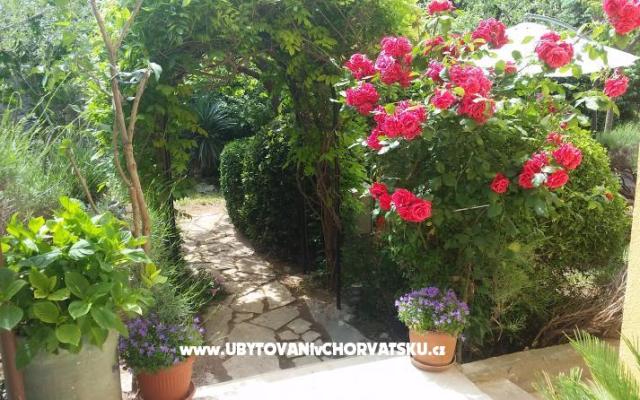 Vila Arboretum Šibenik – Accommodation Sibenik Kroatië