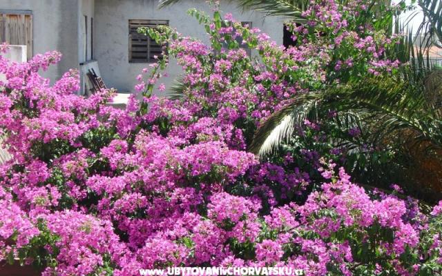 Apartman Mira – Accommodation Split Kroatië