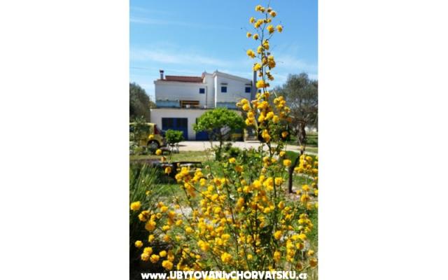 Apartman Marin – Accommodation Sveti Petar Kroatië