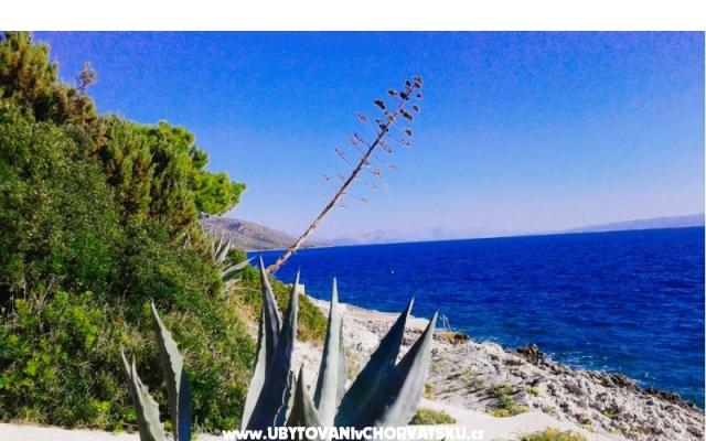 Goga Apartmani – Accommodation Trogir Kroatië