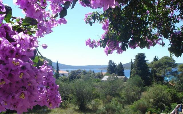 Apartmani Branko Vidaković – Accommodation Island of  Ugljan Kroatië