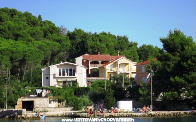 Apartmani Tereza – Accommodation Island of  Ugljan Kroatië