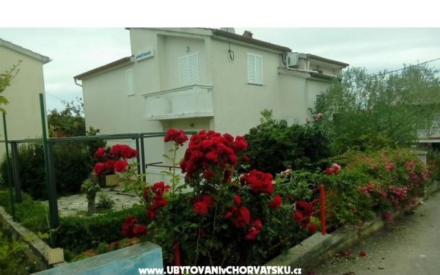 Apartmani Tomislav – Accommodation Island of  Ugljan Kroatië