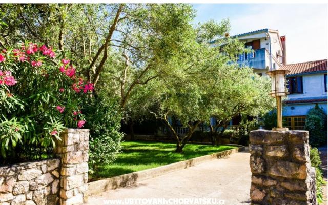 Apartments Mrva – Accommodation Island of  Ugljan Kroatië