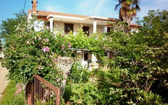 Apartmani Linda – Accommodation Umag Kroatië