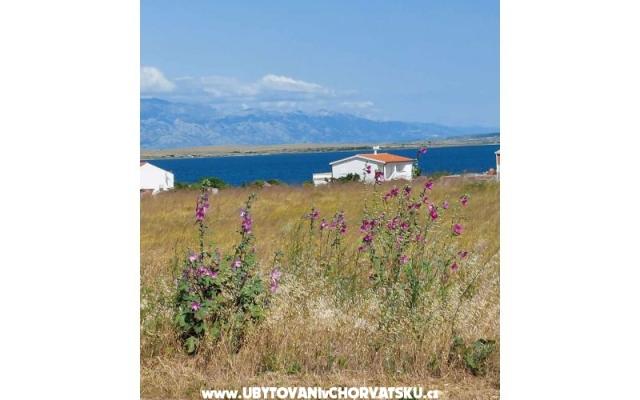 Apartmani Mišković – Accommodation Island of Vir Kroatië