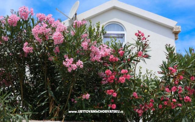 Apartments Podlesek – Accommodation Island of Vir Kroatië