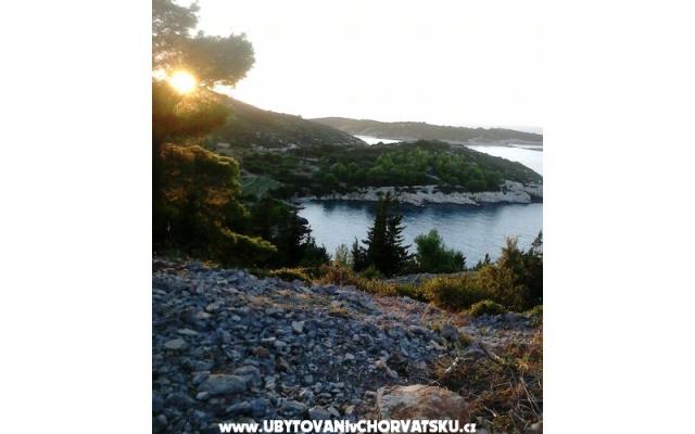 Apartmani Bilić – Accommodation Island of Vis Kroatië