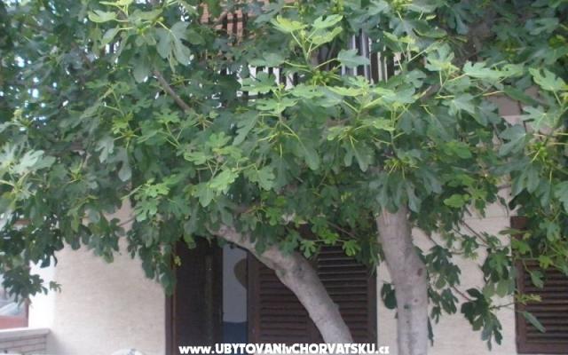 Apartmani  Smokva   – Accommodation Vodice Kroatië