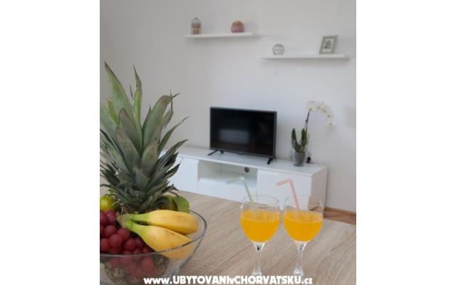 Apartman "Roko" – Accommodation Zadar Kroatië