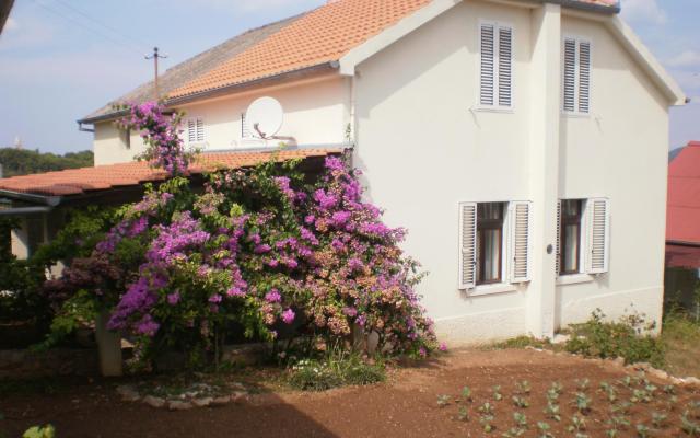 Kuća Branka – Accommodation Zadar Kroatië
