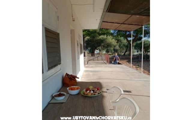 Apartman Viter – Accommodation Zaostrog Kroatië