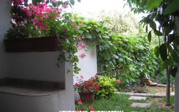 Apartmani Brajković – Accommodation Zivogosce Kroatië
