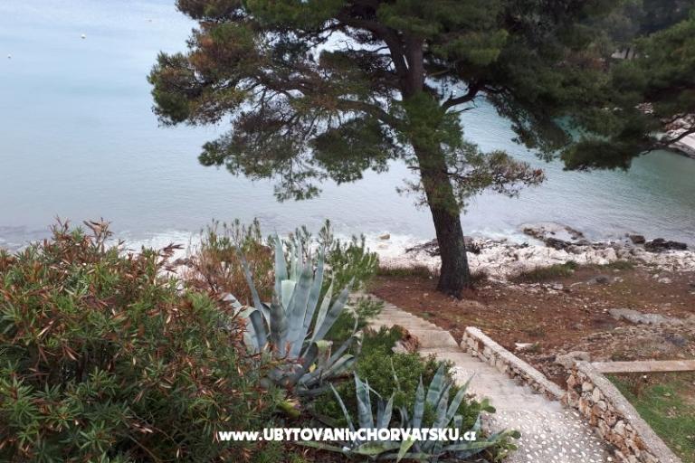 Apartments Malac – photo 7