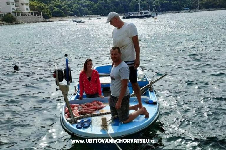 Apartments Ivo Mljet – photo 5