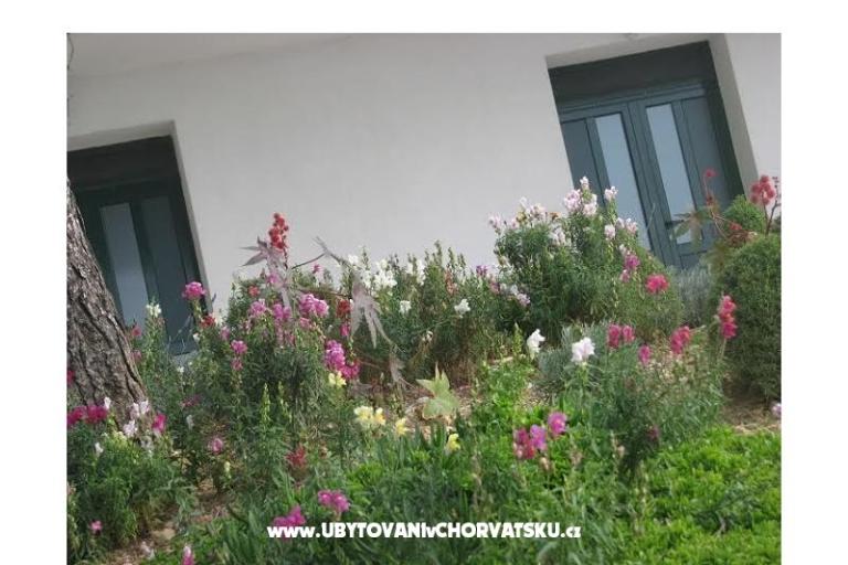 Ana Apartments – photo 11