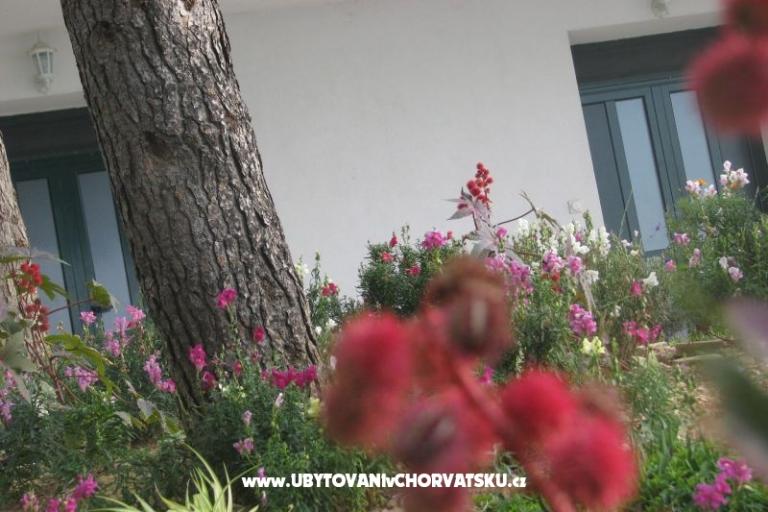 Ana Apartments – photo 18