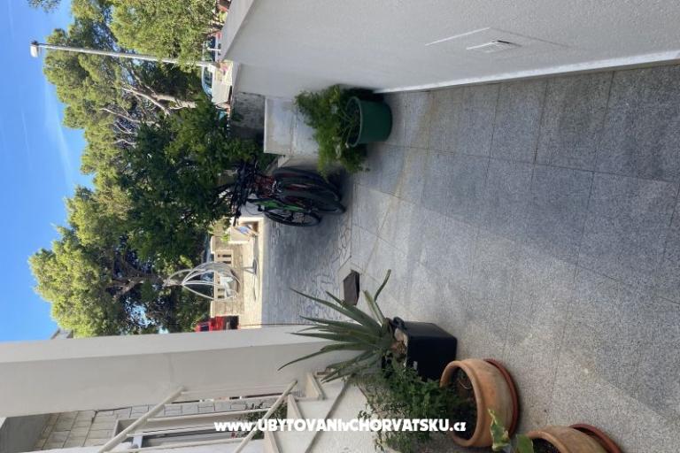 Apartment Obala 40 A – photo 3