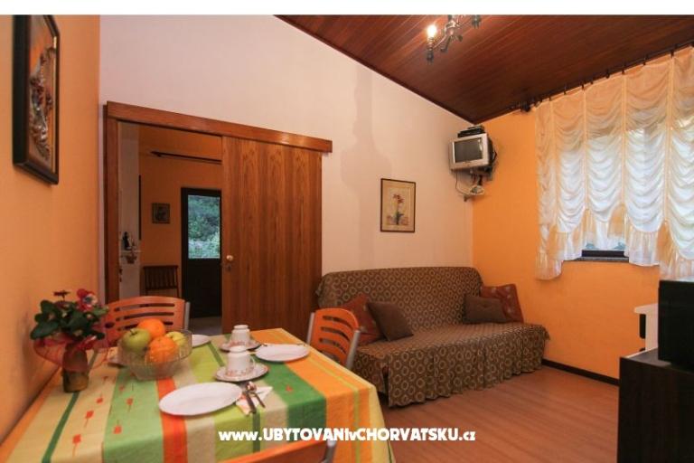 Apartments dominovic-Mladinov  – photo 10