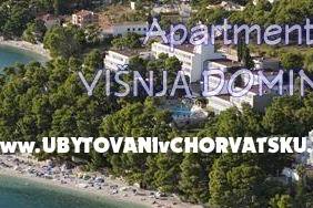 Apartments Mimoza – photo 8