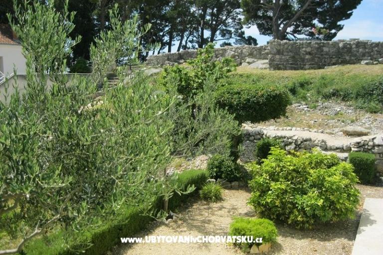 Apartments Paula Baska Voda 6 apart – photo 12