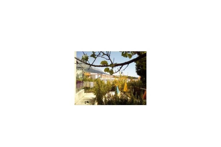 Elka – photo 11