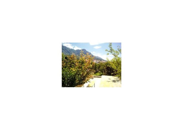 Elka – photo 14