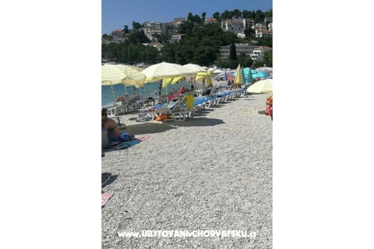 Elka – photo 16