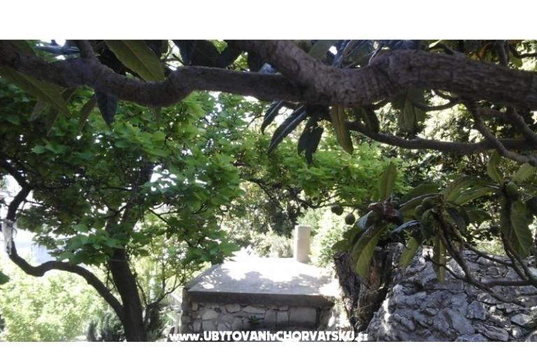 Elka – photo 18