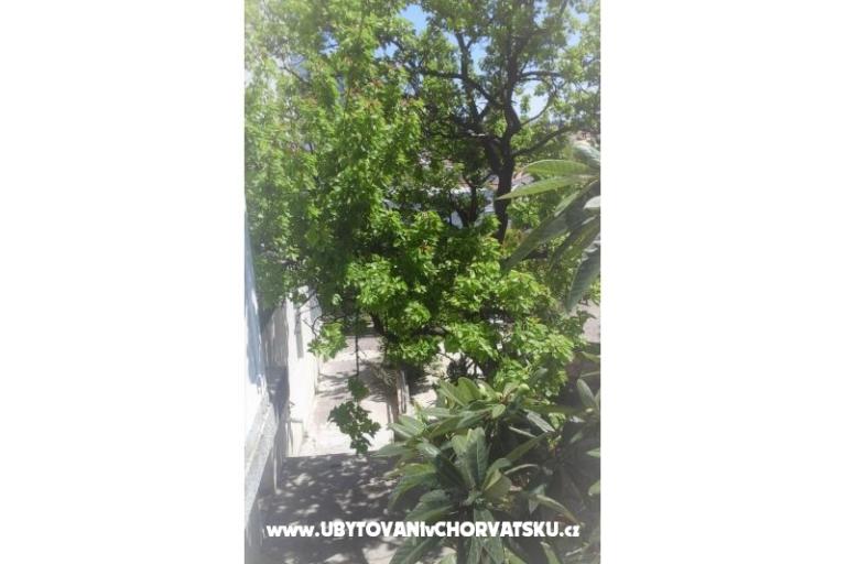 Elka – photo 20