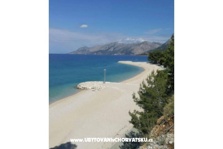 Elka – photo 21