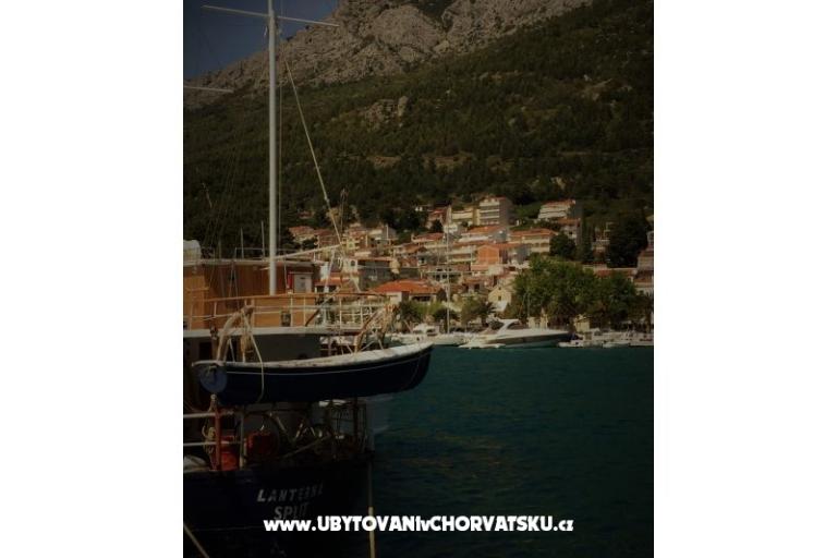 Elka – photo 7