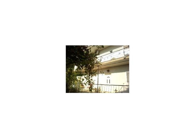 Elka – photo 8