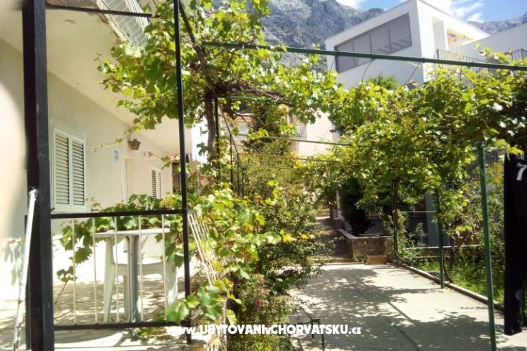 Elka – photo 9