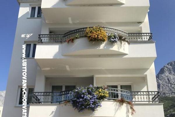 House Veronika – photo 3