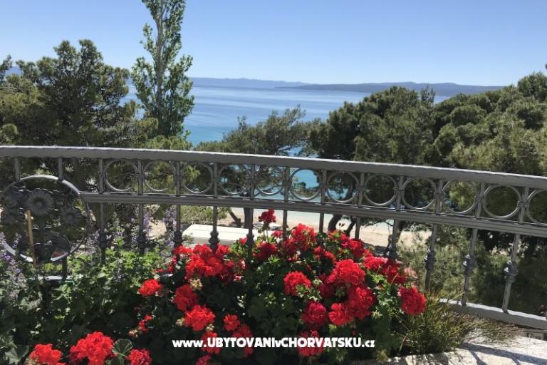 House Veronika – photo 5