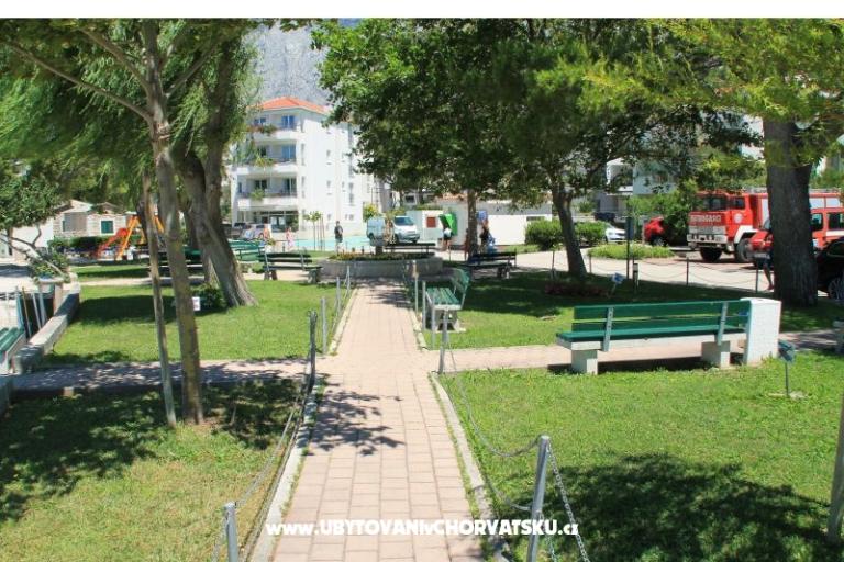 House Veronika – photo 7