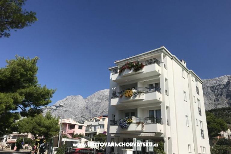 House Veronika – photo 8