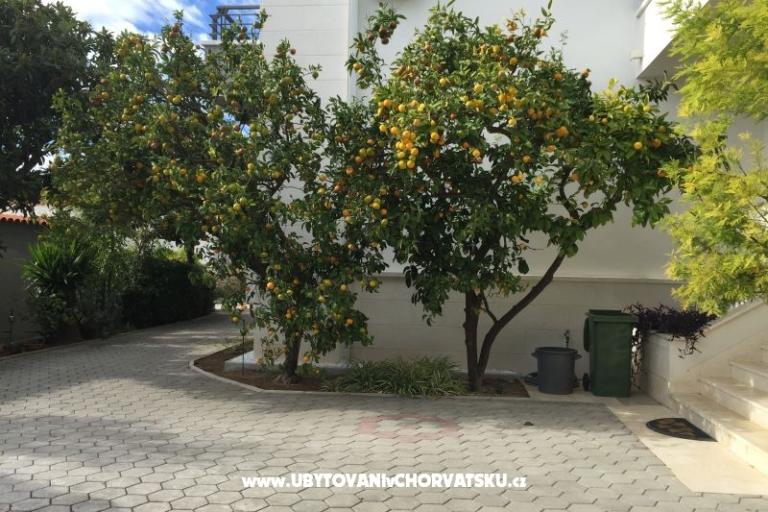 House Grazia – photo 5