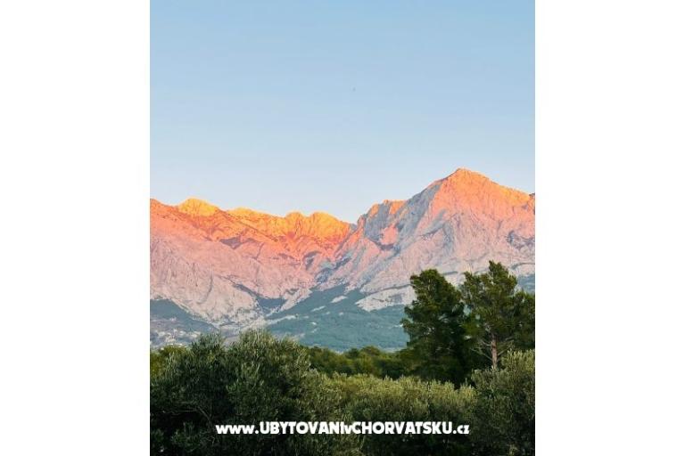 APARTMANI Saric K – photo 23