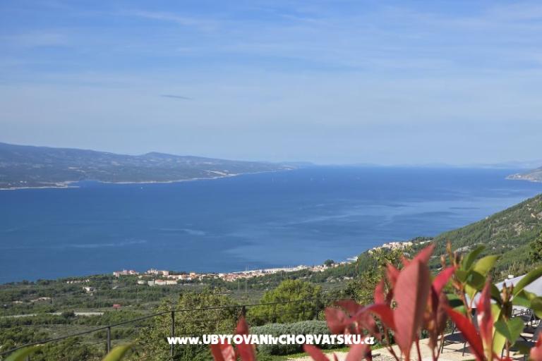 Villa Alta Vista – photo 39