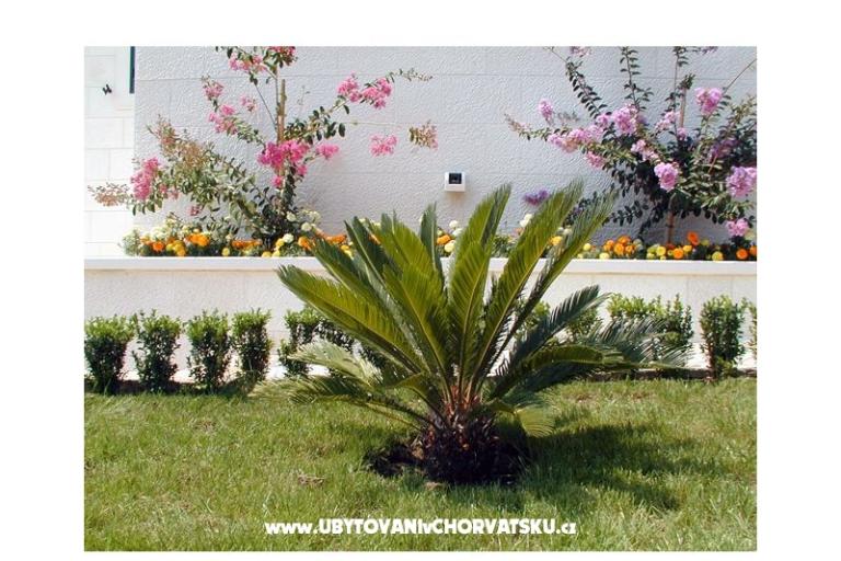 Villa Ana – photo 10