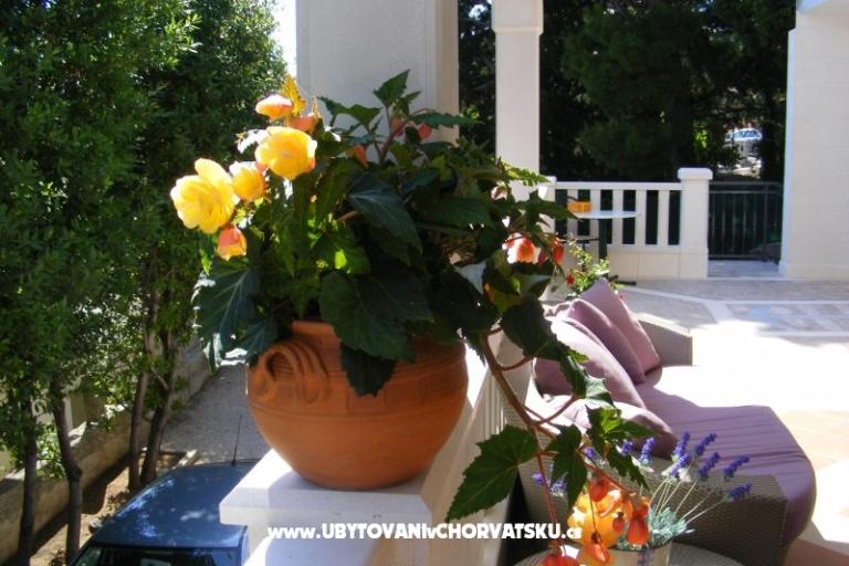 Villa Ana – photo 11
