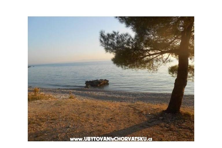 Villa Nina – photo 17