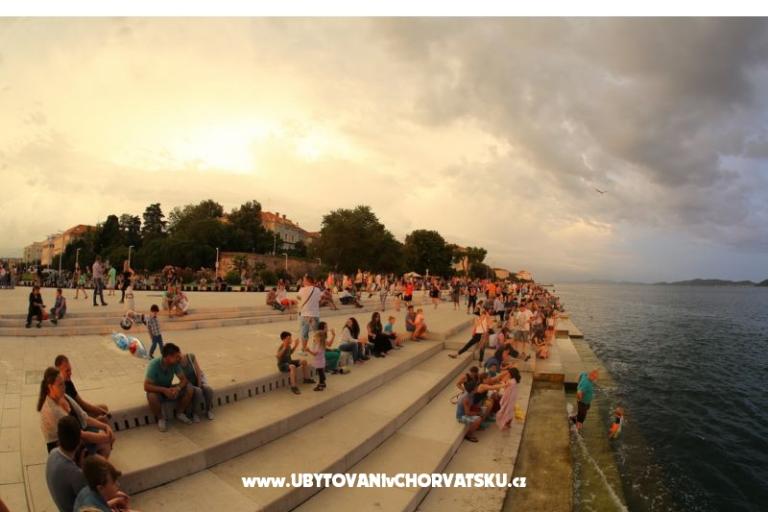 Apartment Marianna Bibinje – photo 18