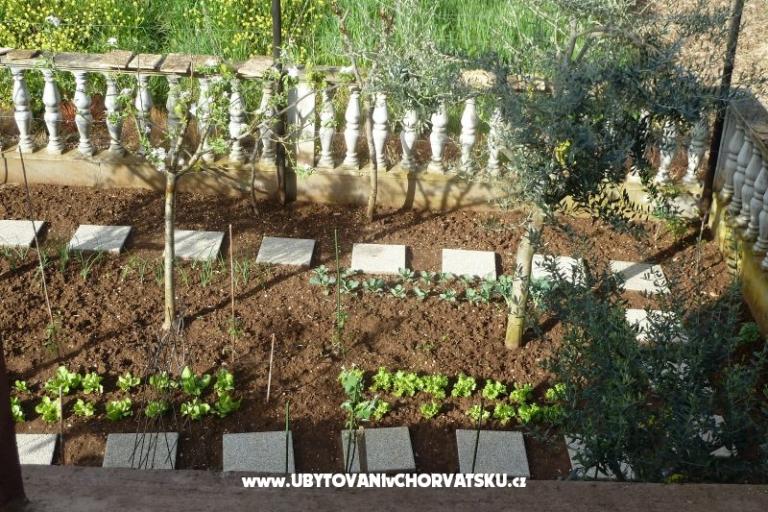 Apartment Petar i Agica Sabljak – photo 14