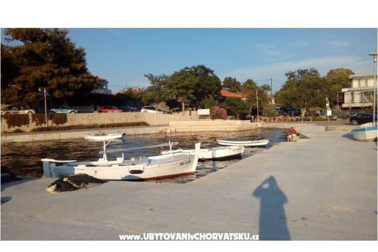APARTMAN PAULINA/BIBINJE:4+2/STUDIO – photo 18